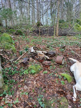 Cistilna akcija 2026 (24)